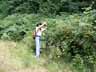 [Kathy picking berries]