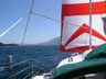 [Photo of red spinnaker]