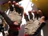 [Photo of well-used sailing gloves]