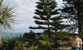[Kathy Tree]