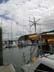 [Opua Marina]
